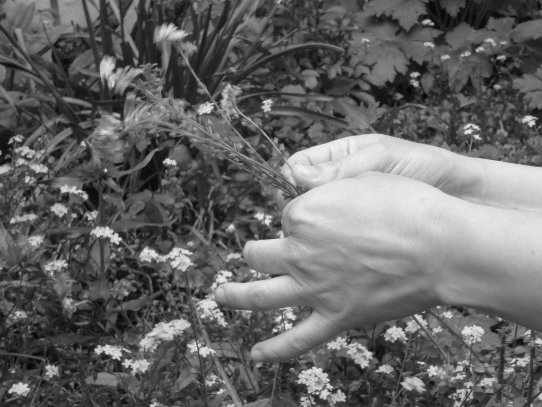 Hände, die gepflückte Blumen halten