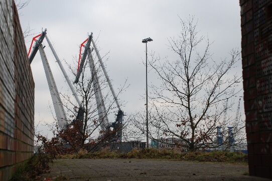 port cranes and several little trees in the port of Neustadt, Bremen/ Germany, seen through an uncommon visual axis