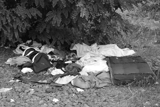 Große Brachfläche nahe dem Bremer Hauptbahnhof: Schlafstelle eines Obdachlosen unter einem Busch?