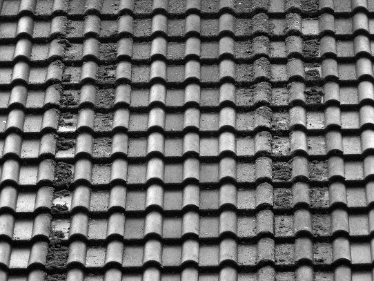 Bremen, Findorff: Moos auf dem Dach eines mehrgeschossigen Wohnblocks