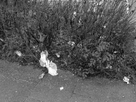 25.1.'16, Wilde Müllkippe nahe Kreuzung B. d. drei Pfählen/ Bennigsen-Straße