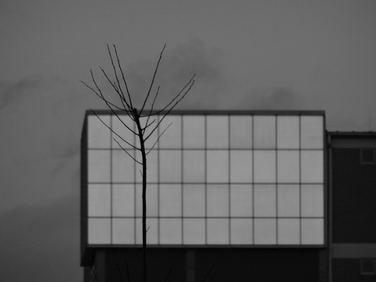 Dezember 2014, Spiegelungen in einer Fensterfront in einem Gewerbegebiet