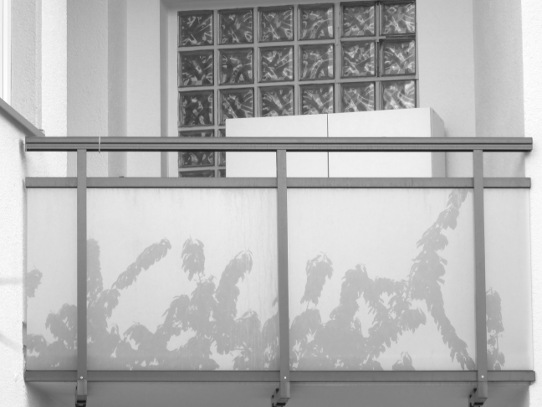 Der Wipfel eines Kirschbaums spiegelt sich in einer gläsernen Balkonverkleidung
