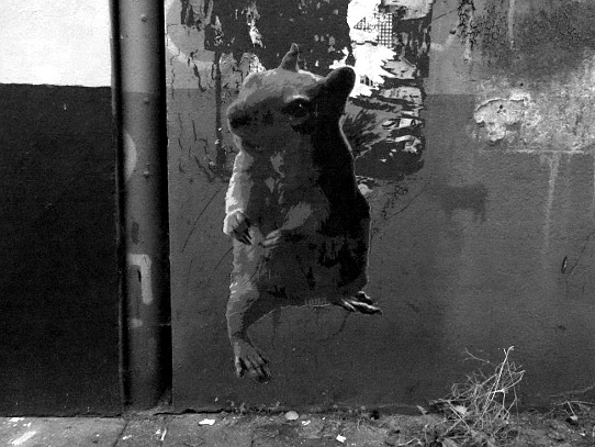 Graffiti: Hamster und Bulle