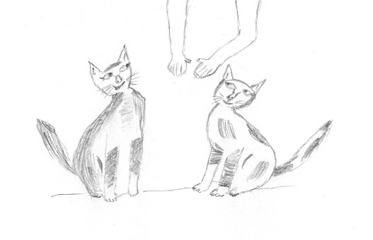 Karl und Käthe in Erwartung des Katzen-Sanostols